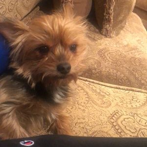 Meet your Posher, Matthew